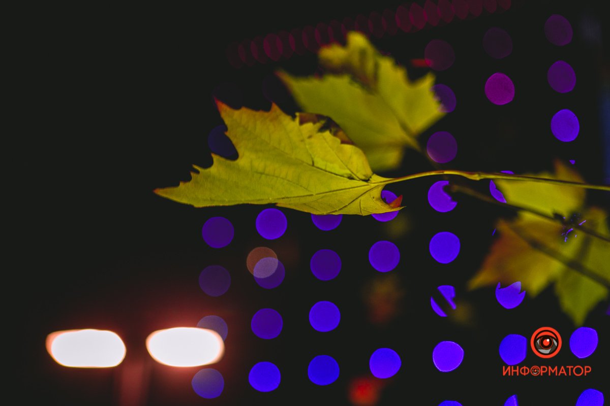 Завораживающая осень