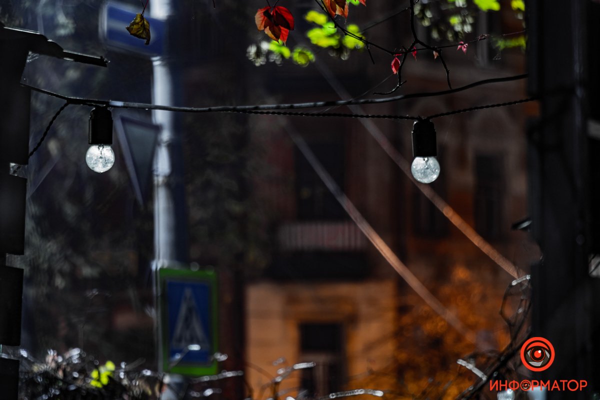 Это могли быть лучики света в непроглядном царстве тьмы Это могли быть лучики света в непроглядном царстве тьмы