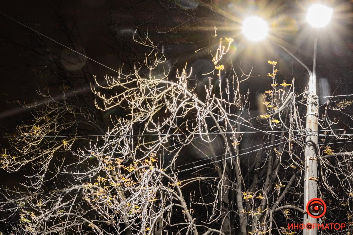 Ветки шумят на ветру Ветки шумят на ветру