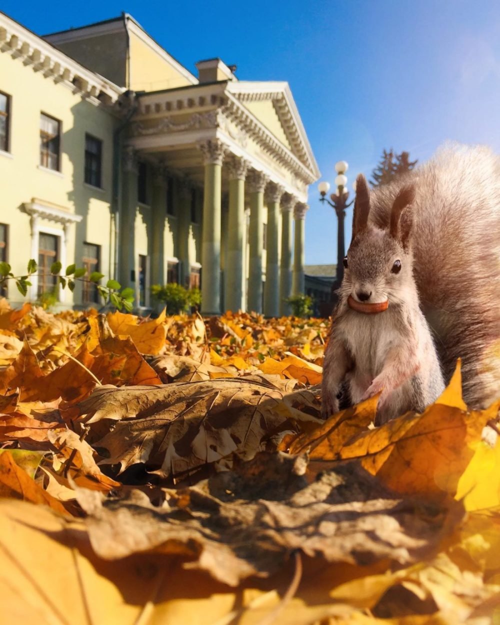 Фото: @niko.kutsenko Фото: @niko.kutsenko