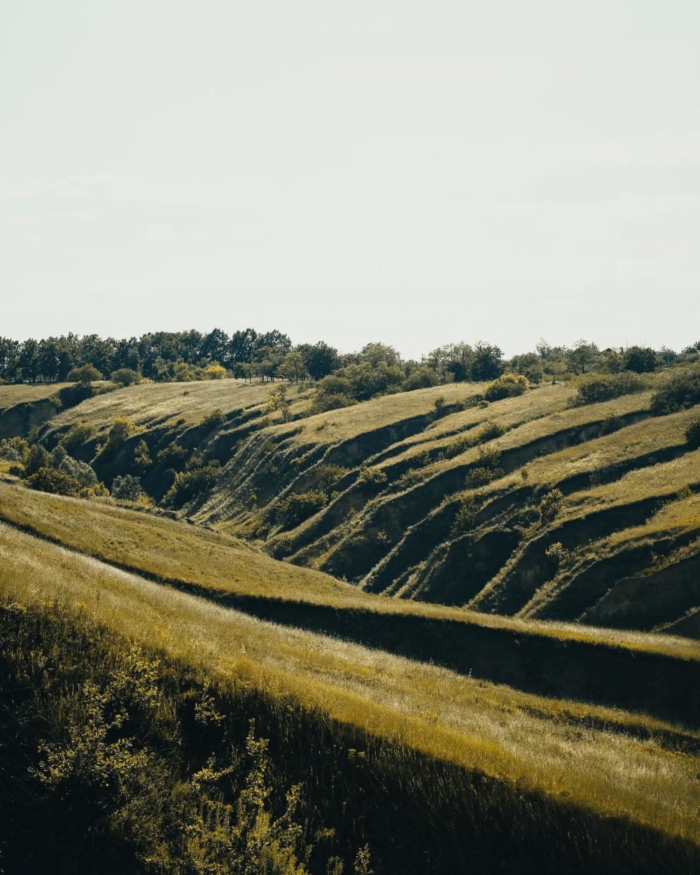 Фото: @iva.time Фото: @iva.time