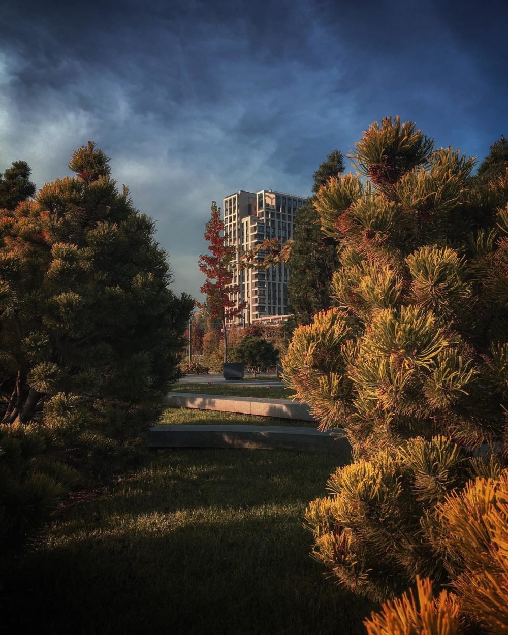 Фото: @garackevich.irina Фото: @garackevich.irina