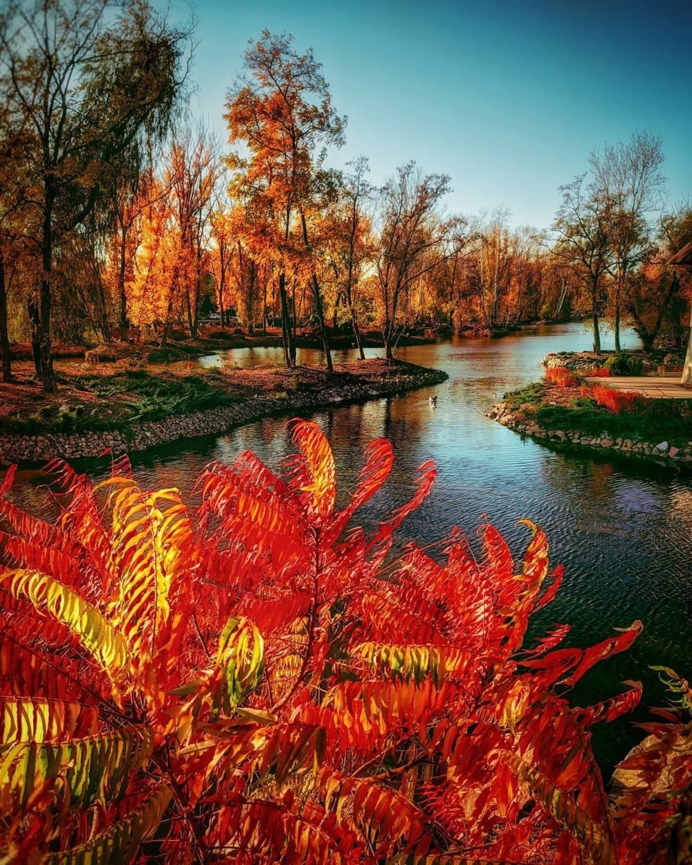 Фото: @golovko_andrew_ Фото: @golovko_andrew_