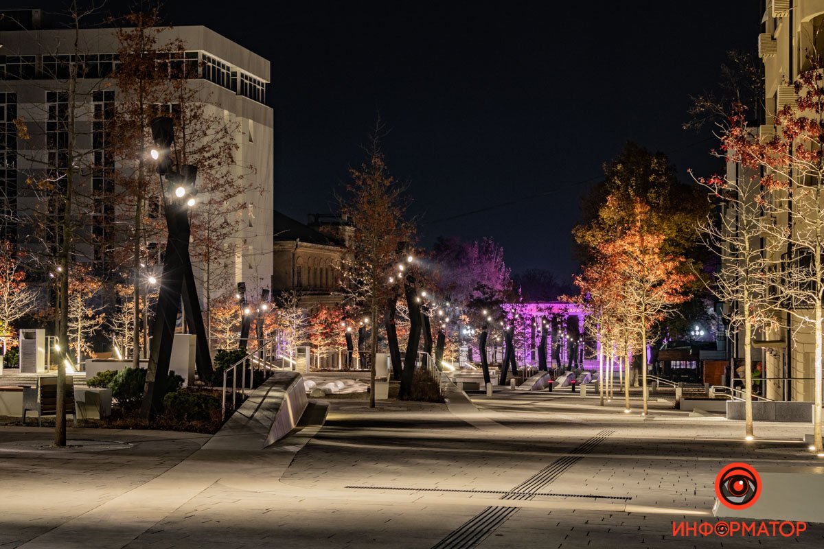 Высадили много новых деревьев вместо срубленных Высадили много новых деревьев вместо срубленных