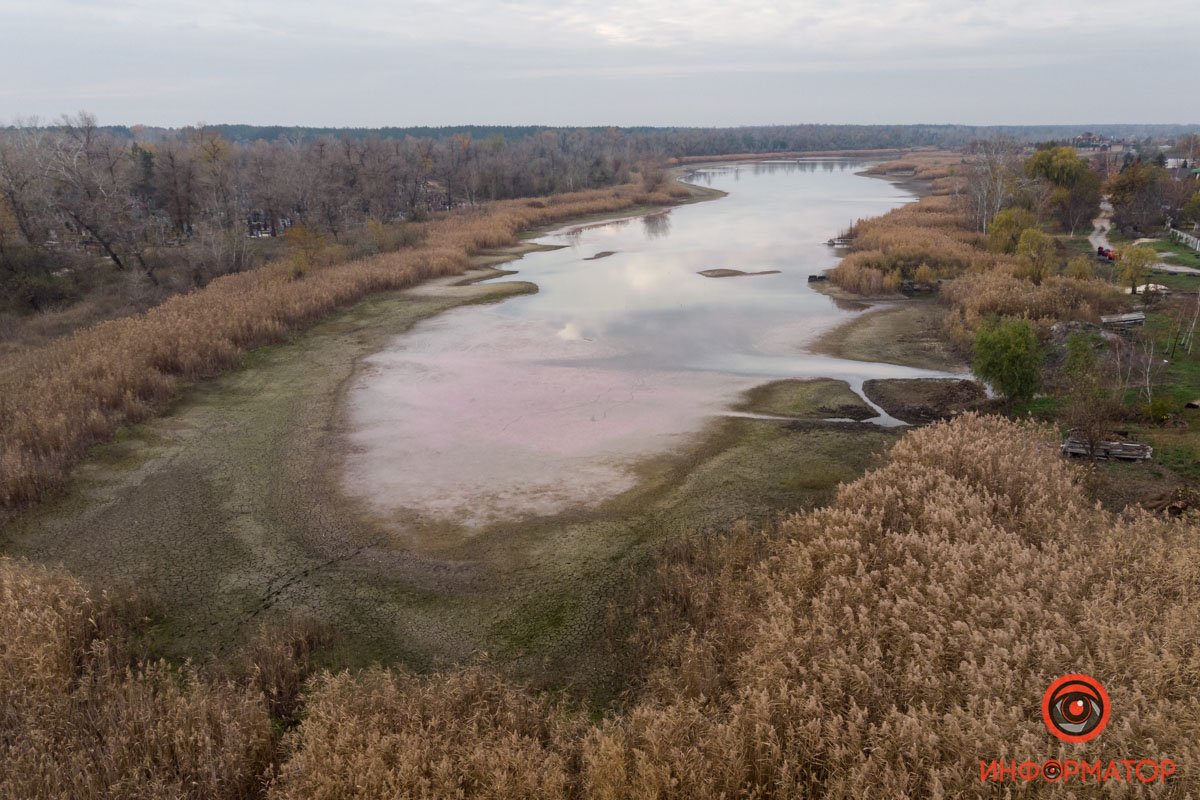 Местные жители считают, что проблема в водорослях Местные жители считают, что проблема в водорослях