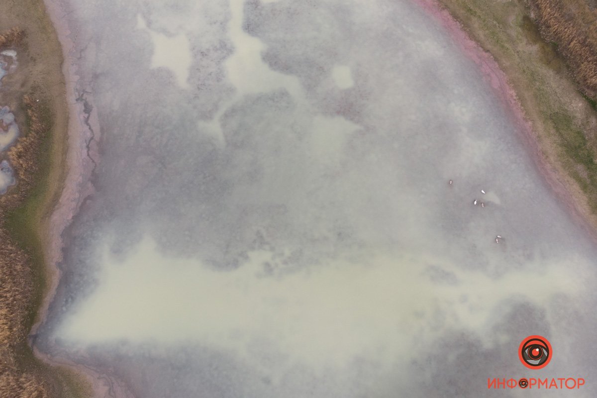 Молочное озеро... Молочное озеро...