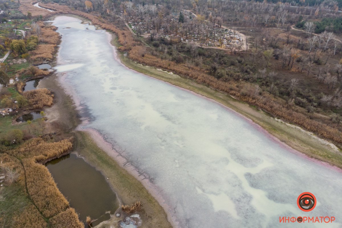 Так или иначе, тут обширная фауна Так или иначе, тут обширная фауна