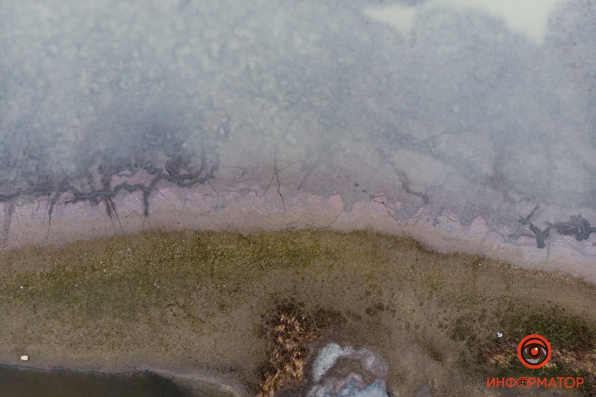 И редко отдыхают на берегу И редко отдыхают на берегу