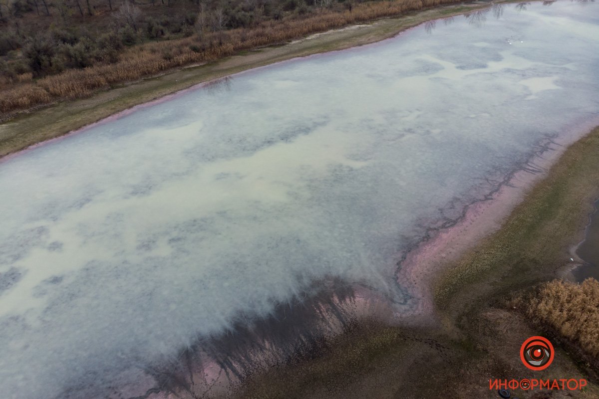 И наблюдают за птицами И наблюдают за птицами