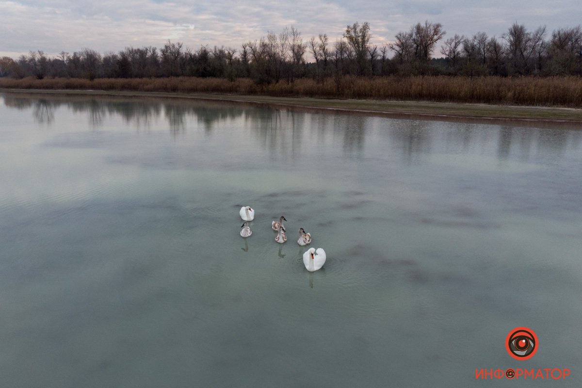 А вот и они А вот и они