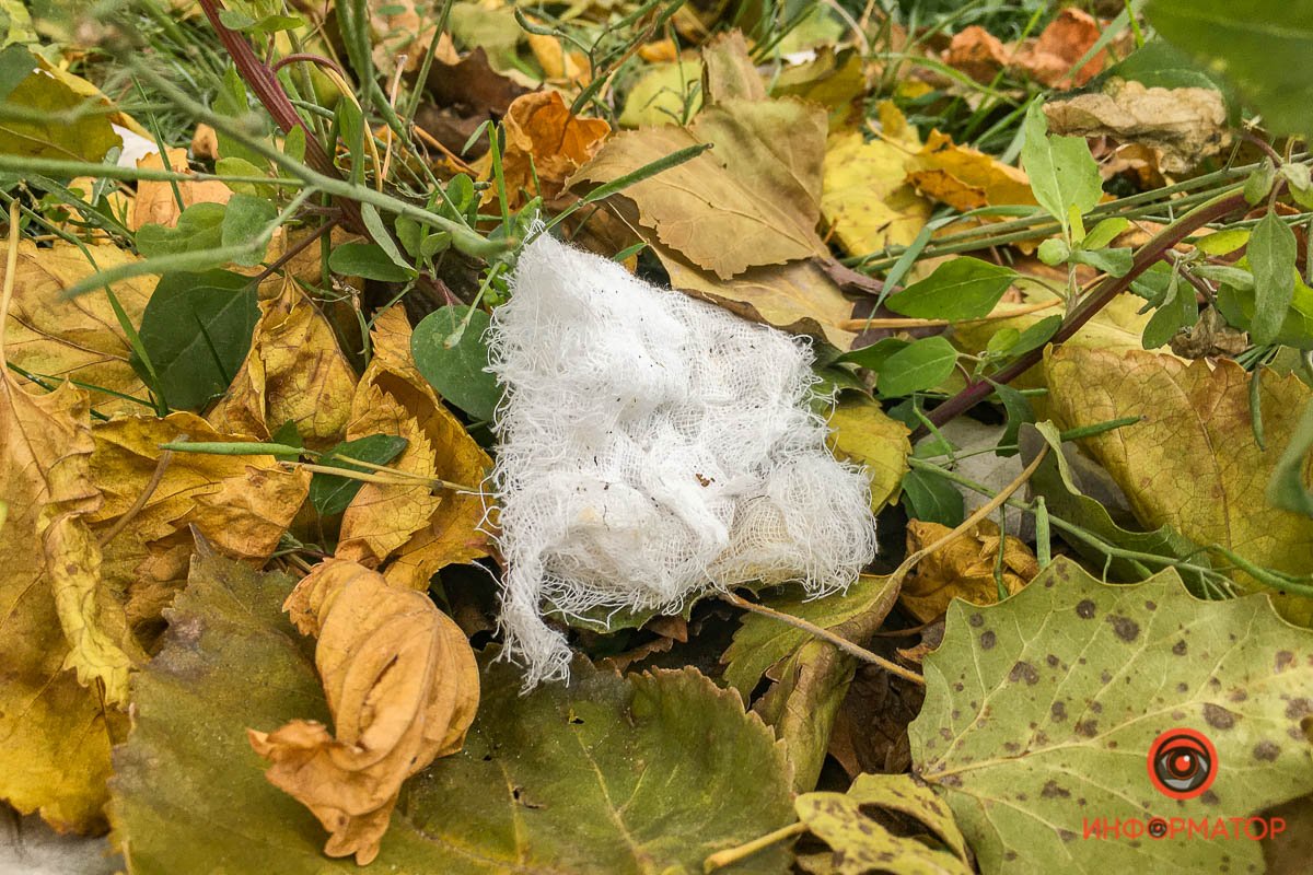 Марля и вата 