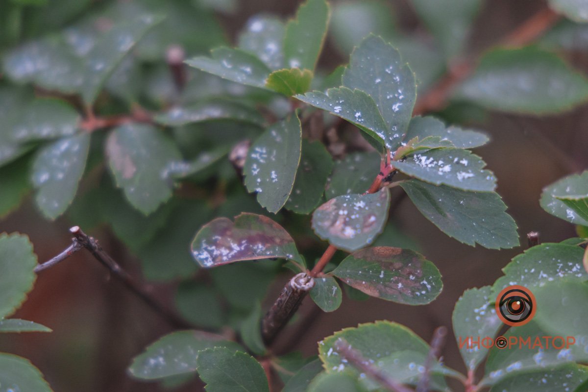 Он пытался Он пытался