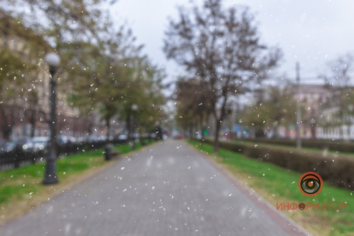 Хлопушки хоть и маленькие, но настроение поднимают здорово Хлопушки хоть и маленькие, но настроение поднимают здорово