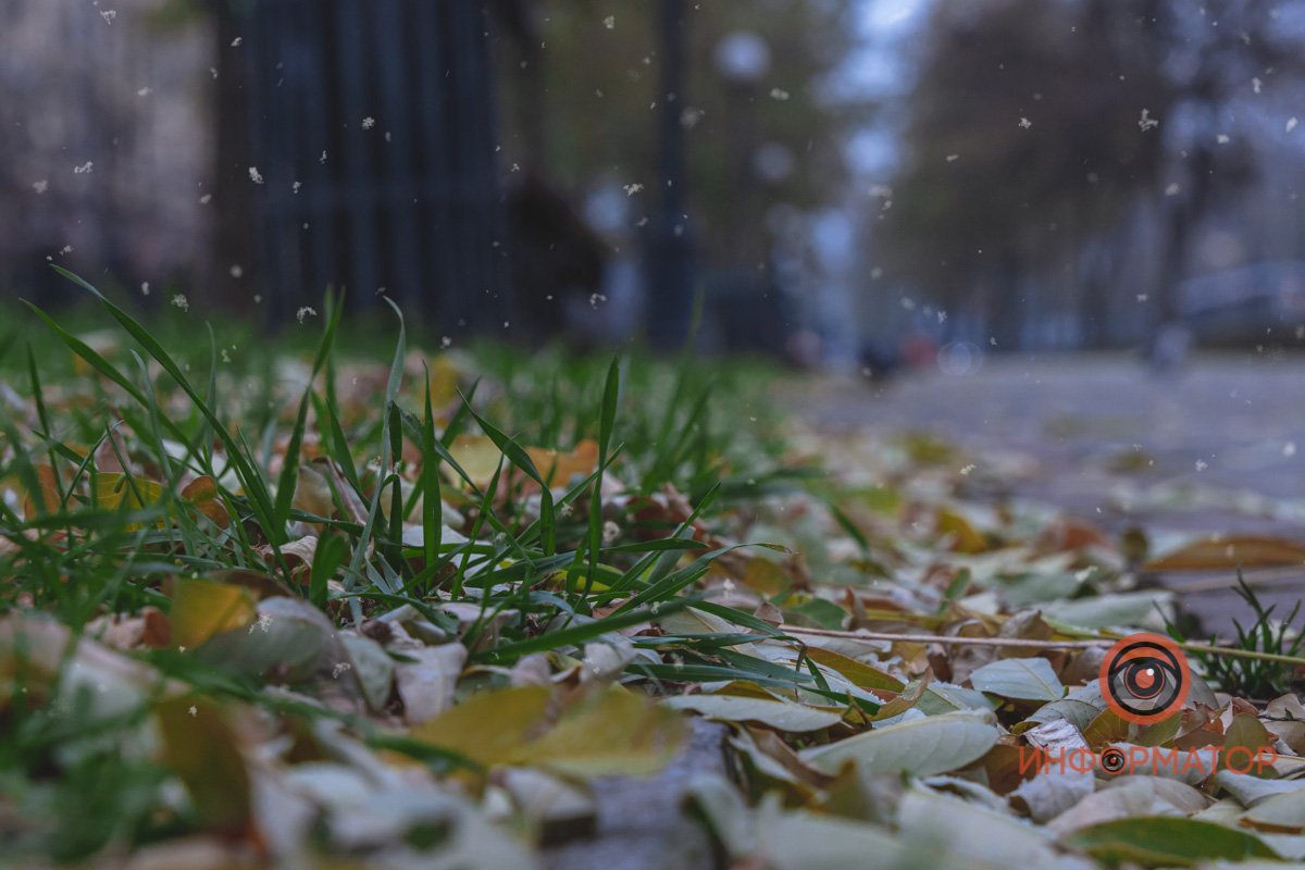 После вчерашнего снегопада в Киеве этого стоило ожидать После вчерашнего снегопада в Киеве этого стоило ожидать