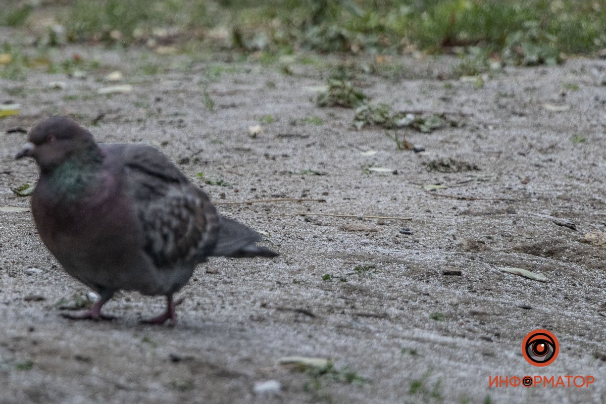 Не особо понял, что происходит на улице Не особо понял, что происходит на улице