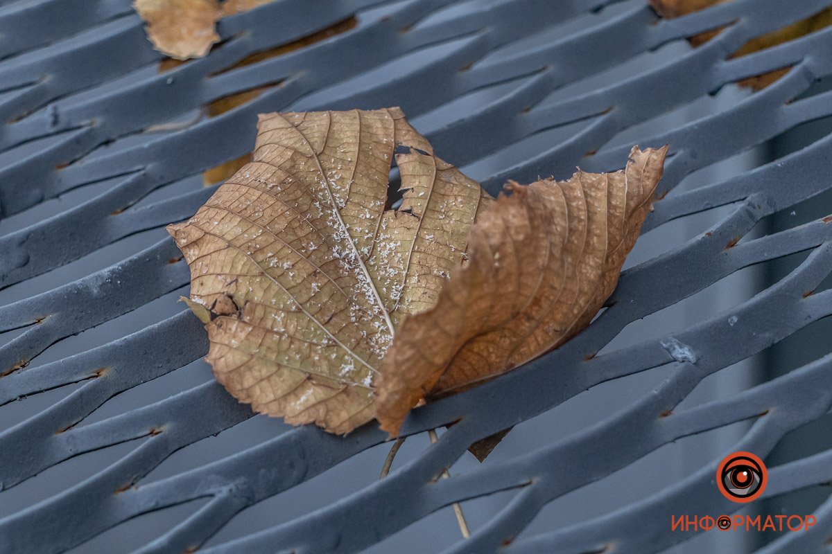 Осень - всё 🥶 Осень - всё 🥶