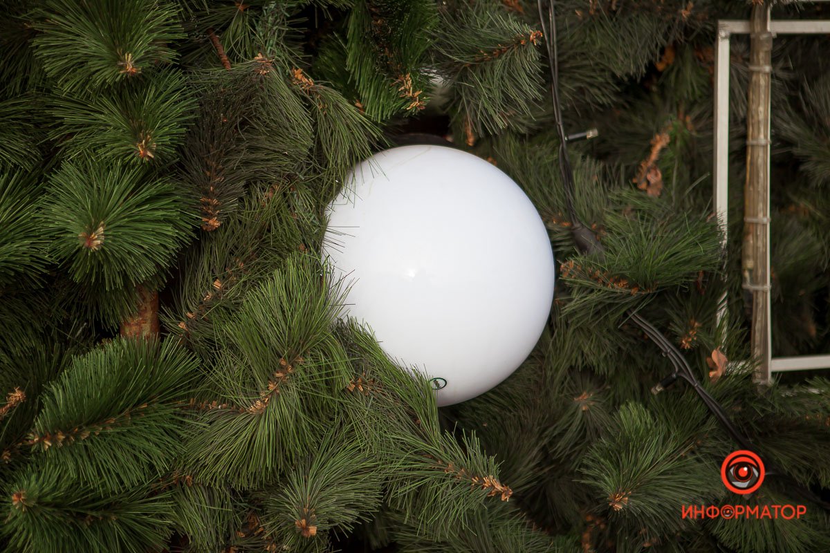 Шариков не много