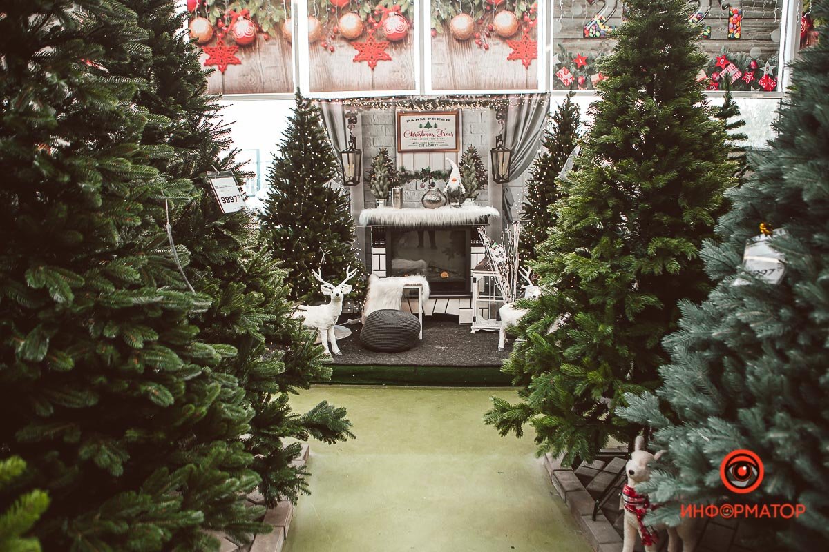 Пссс, парень, не хочешь немного елок?