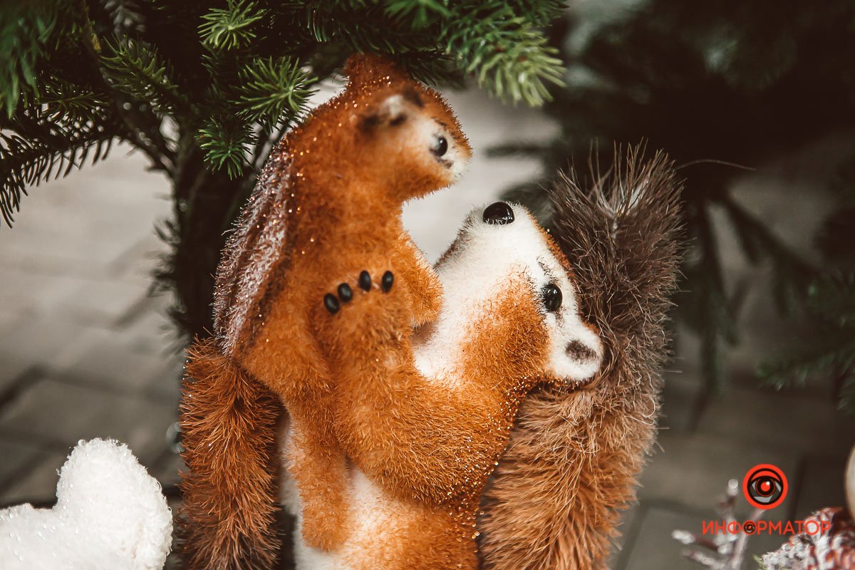 Мама-белка подсаживает бельчонка на веточку