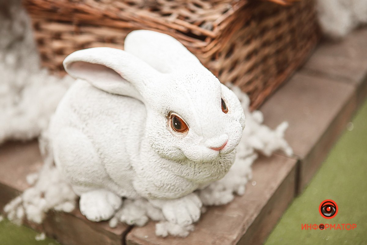 Смотрит на тебя, как на 2020 год