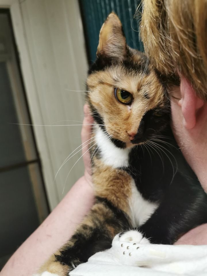 Грустная и нежная Сима Грустная и нежная Сима