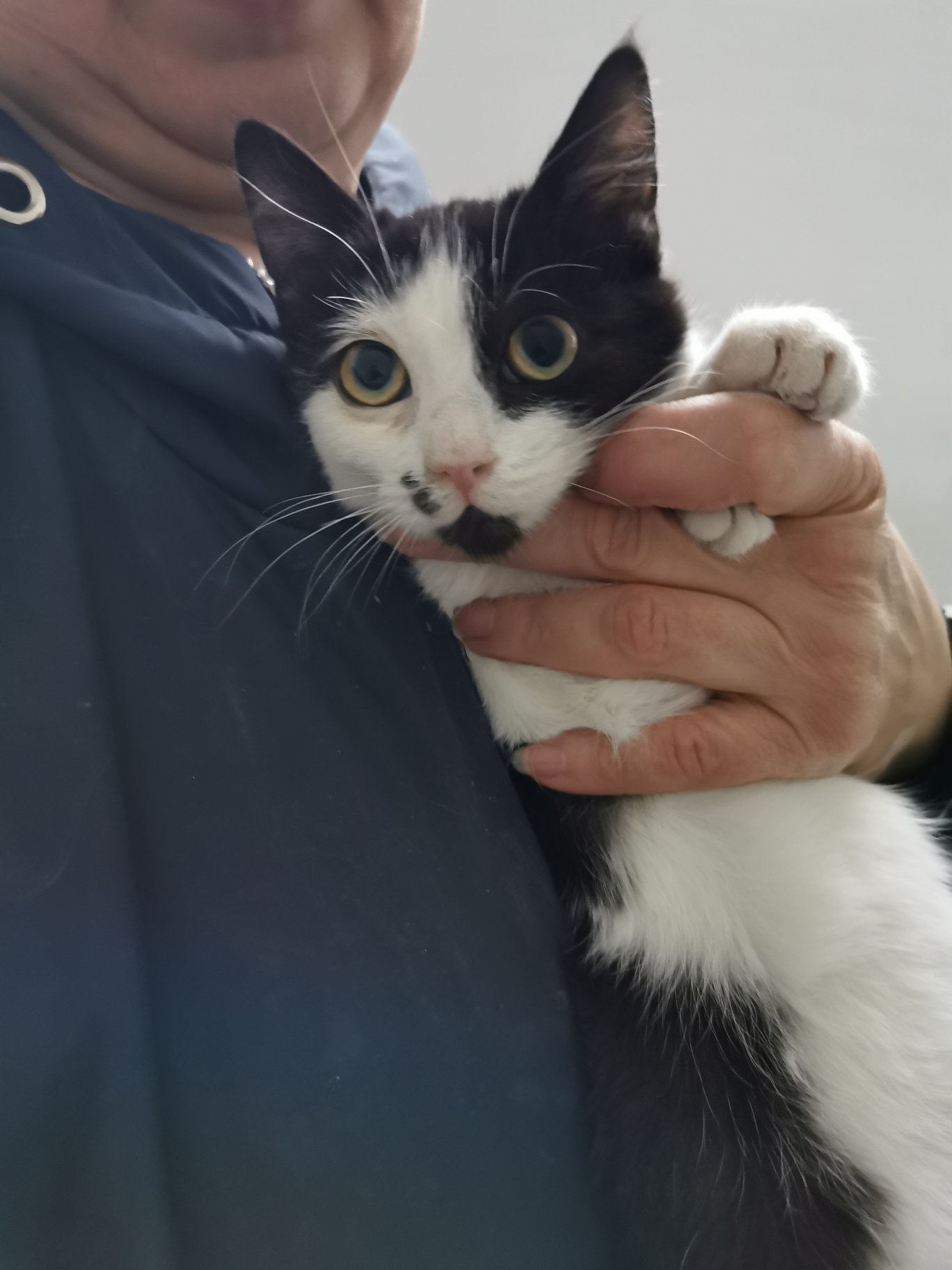 Грустный кусь Грустный кусь