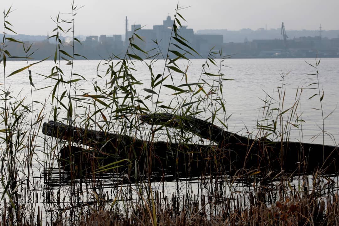 Фото: @olafvronman