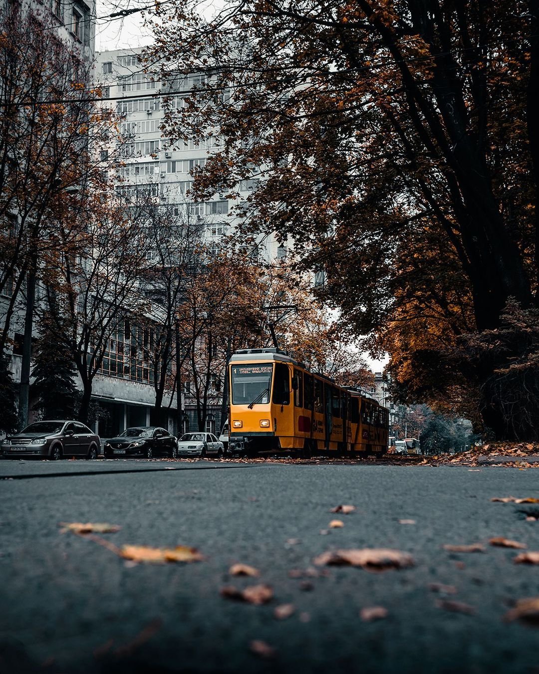 Фото: @artemlazarev_ph