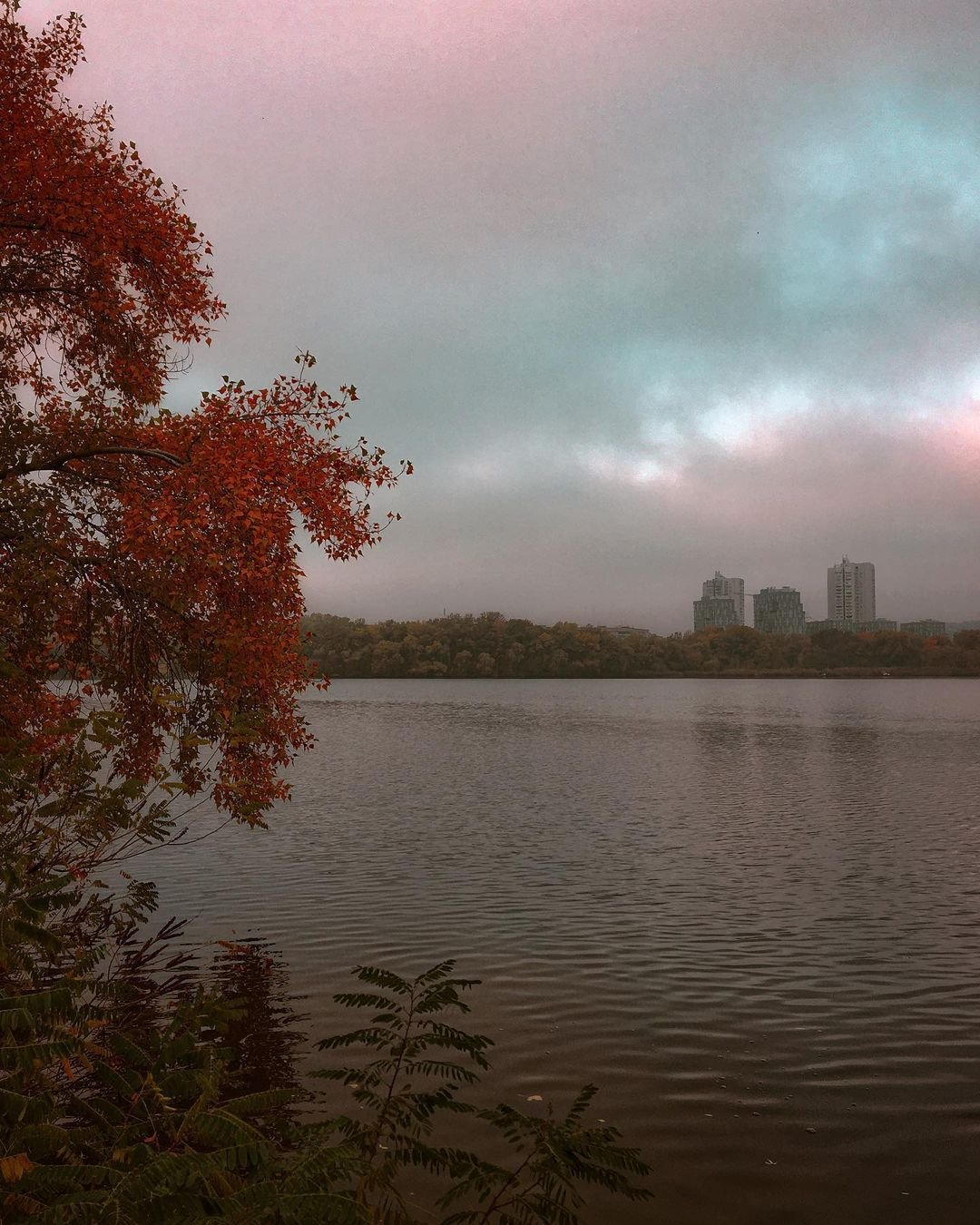 Фото: @garackevich.irina