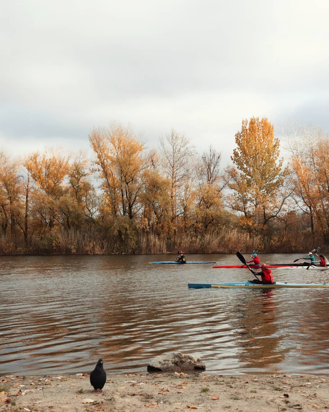 Фото: @natali_p27