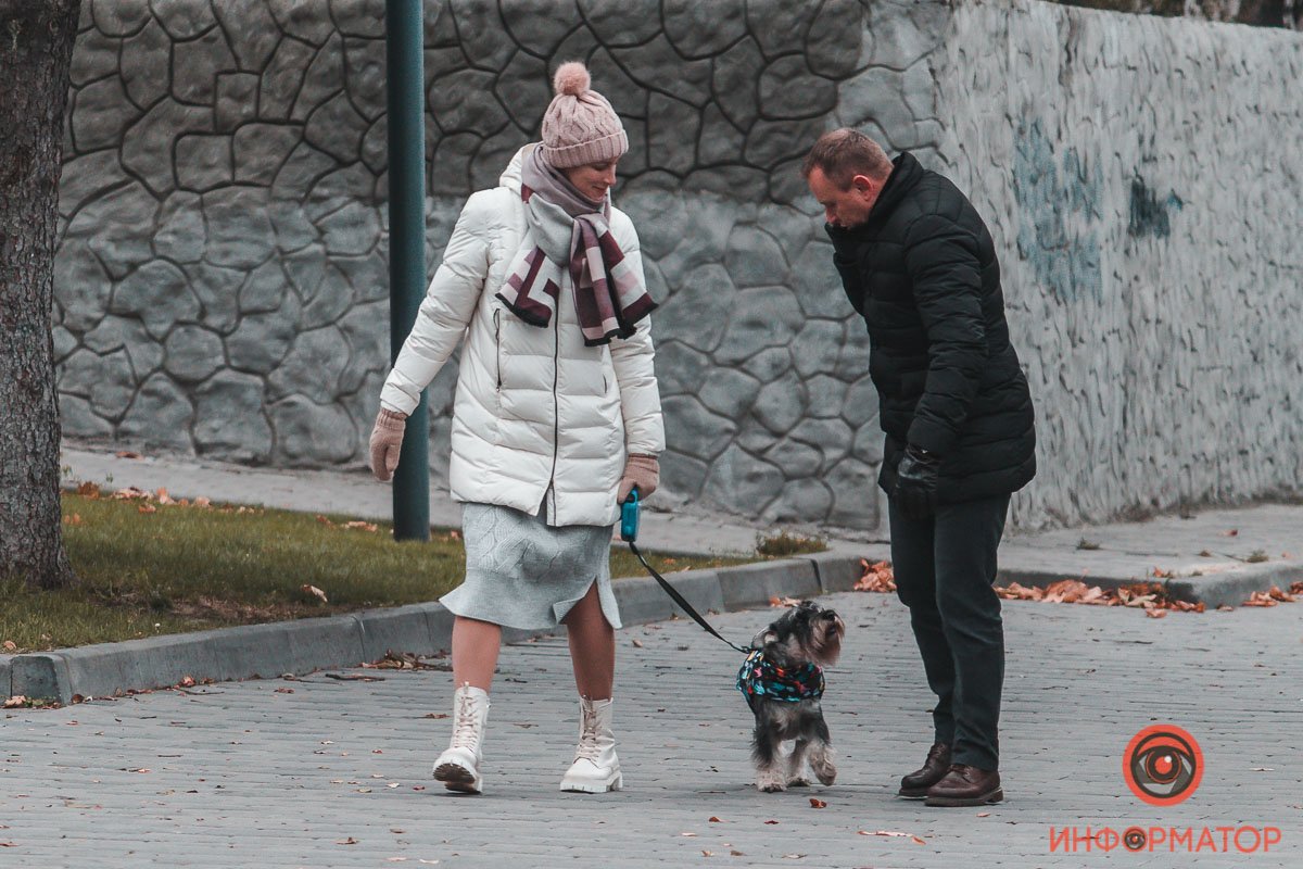 Человек собаке друг