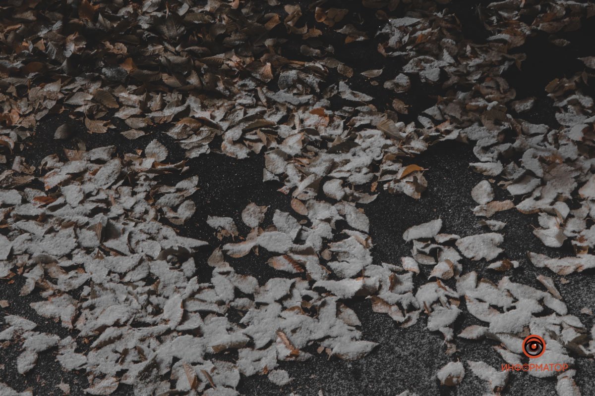 На грани осени и зимы На грани осени и зимы