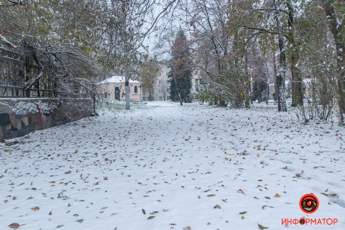 Так и не скажешь, что на дворе ноябрь Так и не скажешь, что на дворе ноябрь