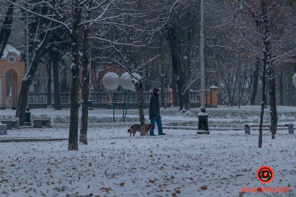 Выгулять хвостатого друга - это святое Выгулять хвостатого друга - это святое