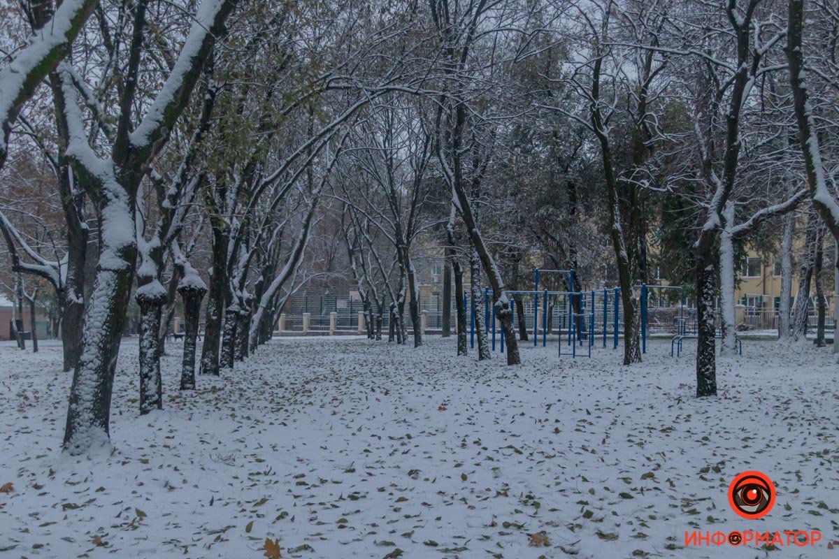 Турники пустуют в ожидании спортсменов Турники пустуют в ожидании спортсменов