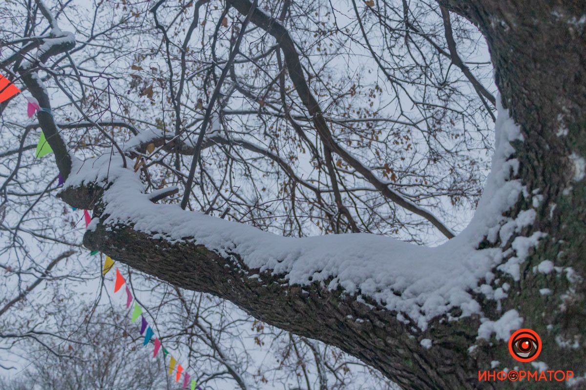 Настоящая "зима" на дворе Настоящая "зима" на дворе