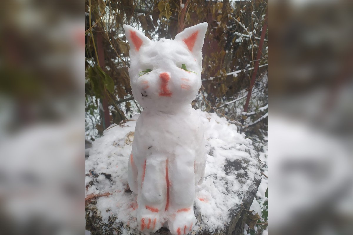 Единственный котик на планете с холодным сердцем