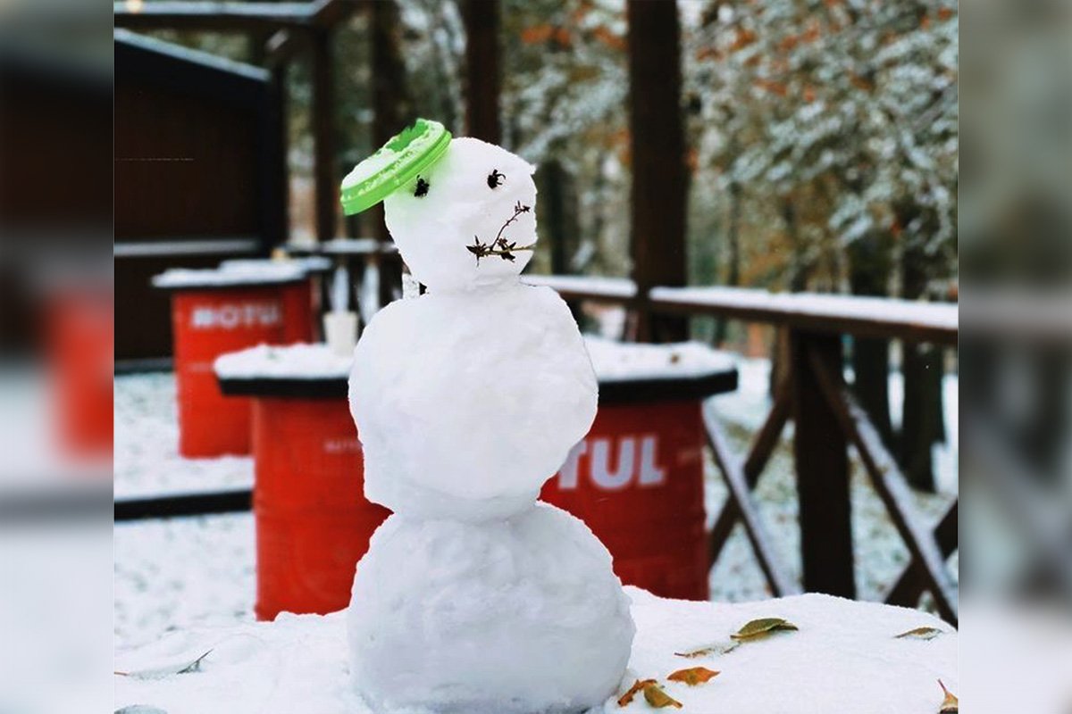 Снеговик родом из Франции