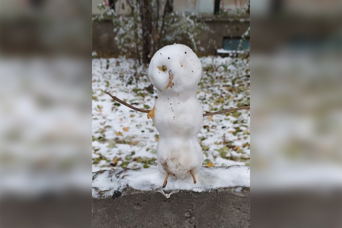 Снегоптенчик? Птенговик? 