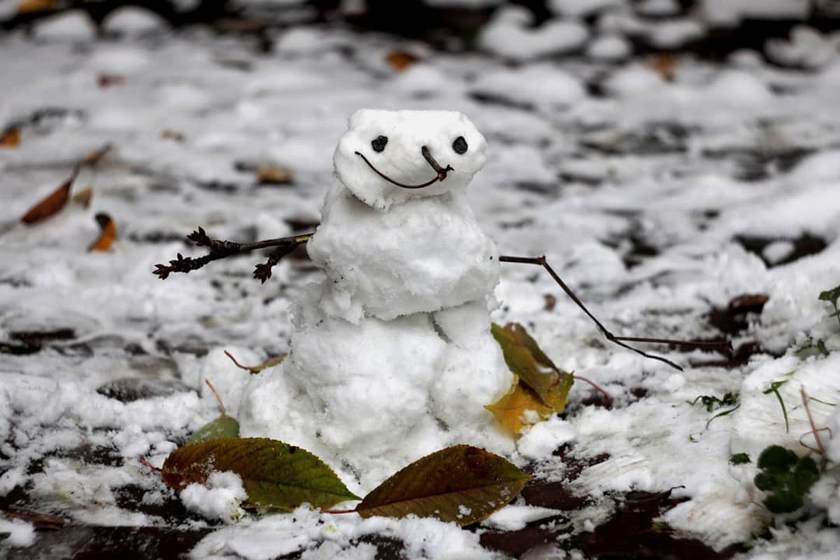Снеговик-ленивец