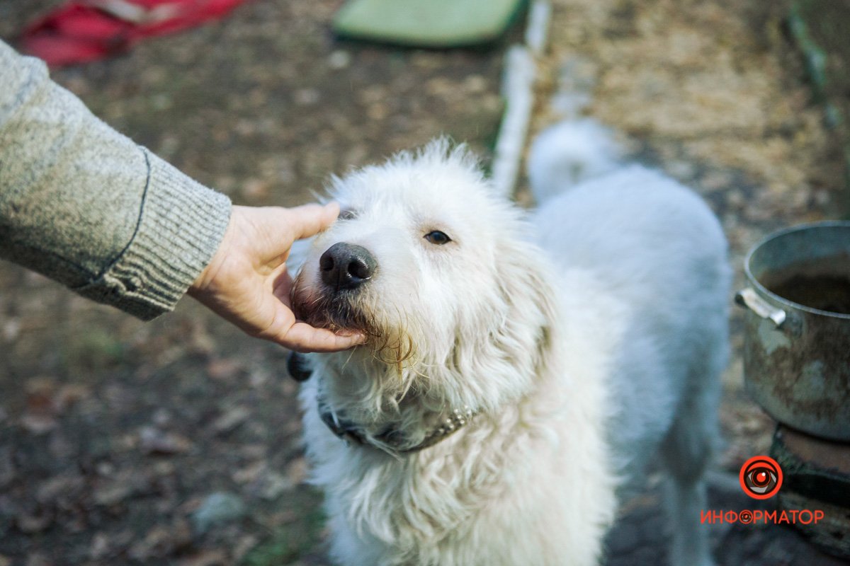 Дружелюбному счастью просто не повезло Дружелюбному счастью просто не повезло
