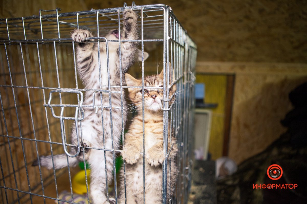 Забавные ребята - мальчик и две девочки Забавные ребята - мальчик и две девочки