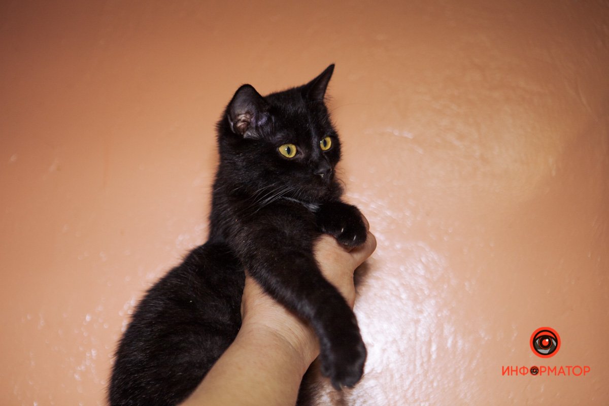 Малыш Малыш