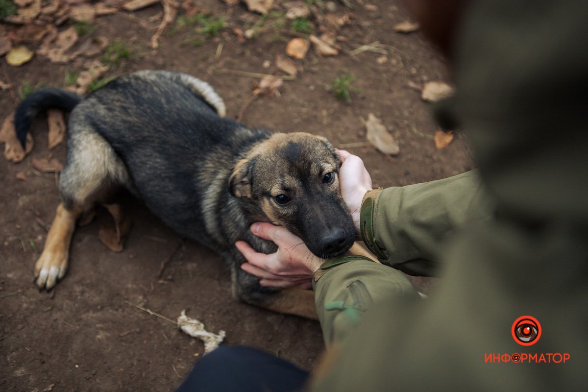 Милаха Милаха