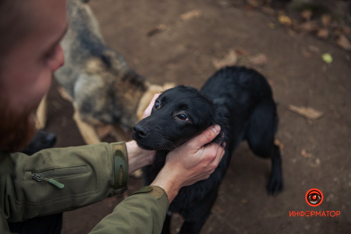 Очень красивая Очень красивая