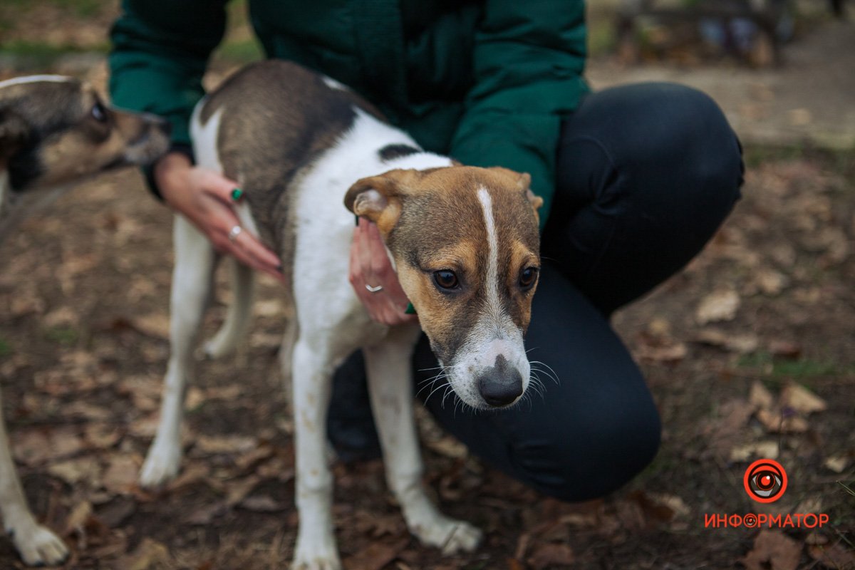 Мальчик Мальчик