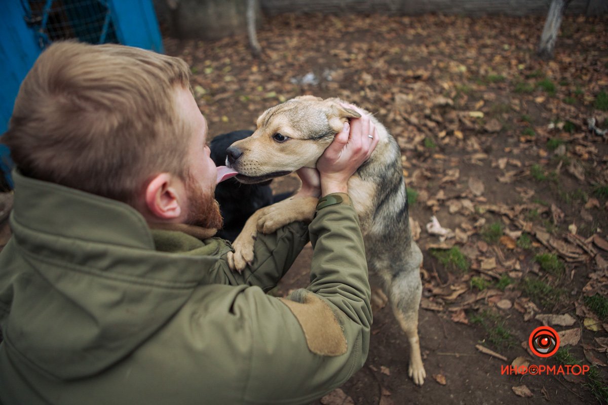 Игривая Игривая