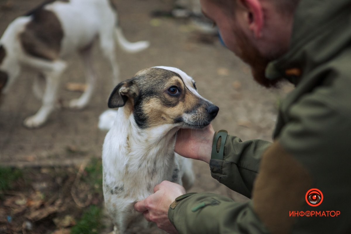 Девочка Девочка