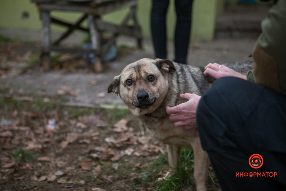 Посмотрите в ее глаза! Посмотрите в ее глаза!