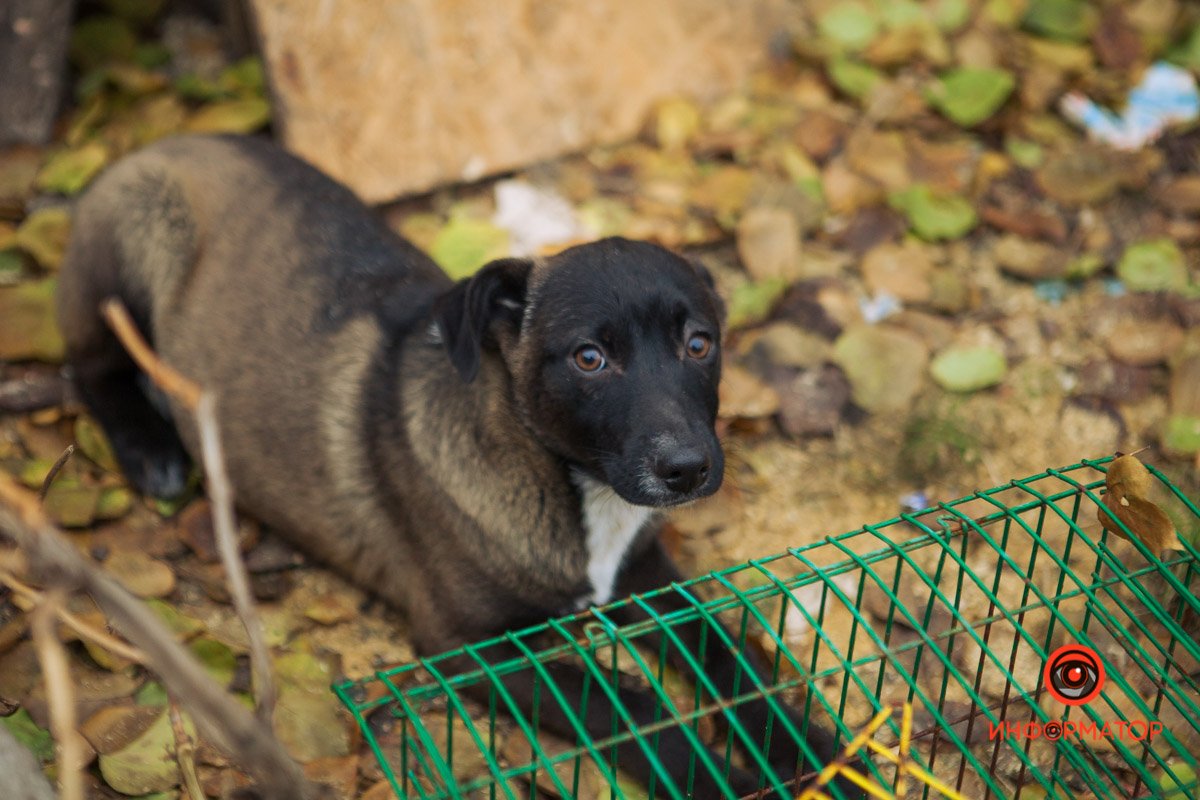 Так сложились обстоятельства Так сложились обстоятельства
